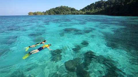 Snorkel. Tailandia Snorkel. Tailandia
