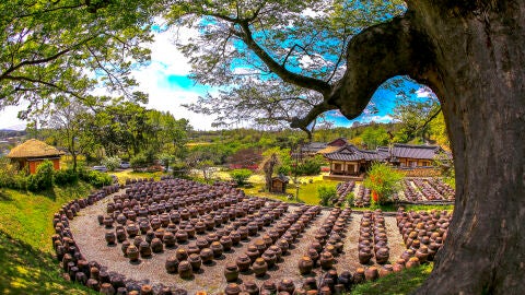 Campiña coreana