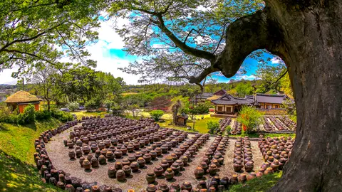 Campiña coreana Campiña coreana