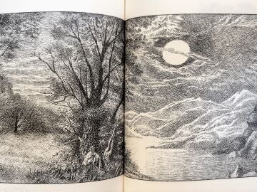 Ilustración de ¡Dídola Pídola Pon!, libro de Maurice Sendak