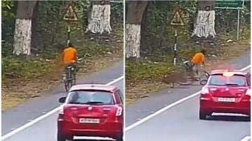 Un leopardo ataca a un ciclista