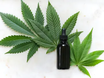 Cannabis medicinal Cannabis medicinal