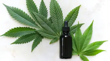 Cannabis medicinal