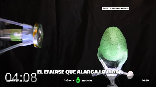 envase harvard envase harvard