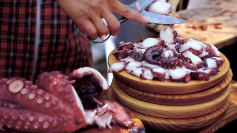 Fiesta del Pulpo en O Carballiño, Ourense