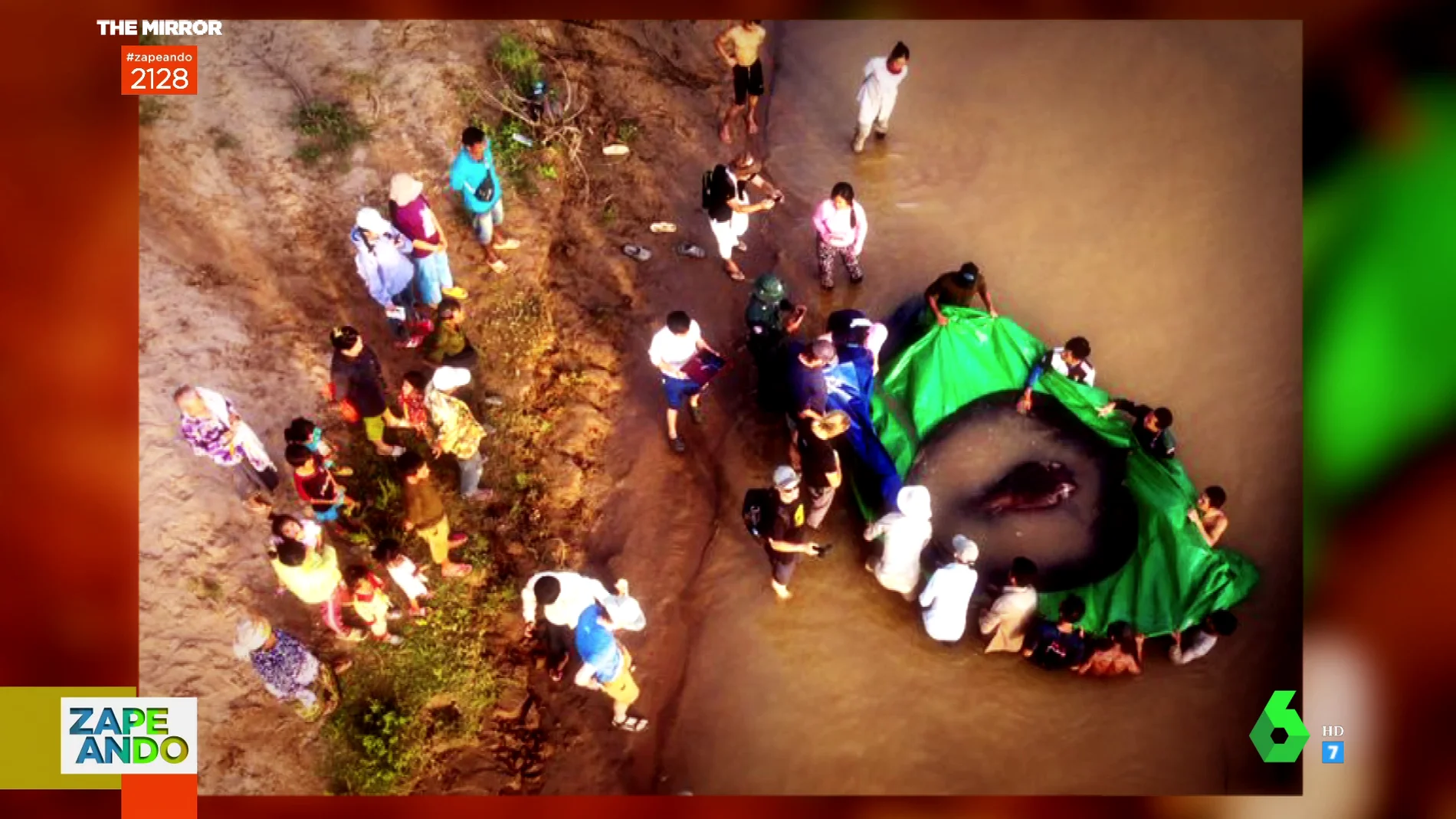 la raya de 300 kilos que han capturado en un río de Camboya