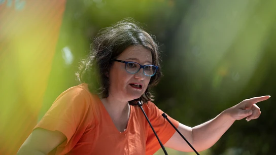 La vicepresidenta de la Generalitat Valenciana y portavoz del Consell, Mónica Oltra, durante un acto de Compromís La vicepresidenta de la Generalitat Valenciana y portavoz del Consell, Mónica Oltra, durante un acto de Compromís
