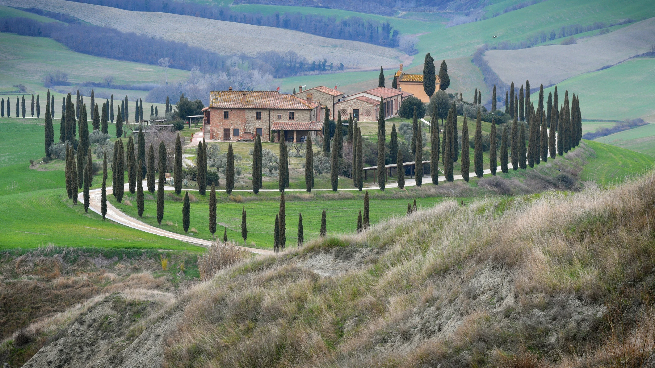 Paisaje cerca de Asciano, Italia