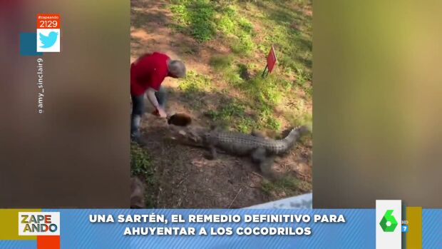 El sorprendente método de un hombre para ahuyentar a un cocodrilo:  