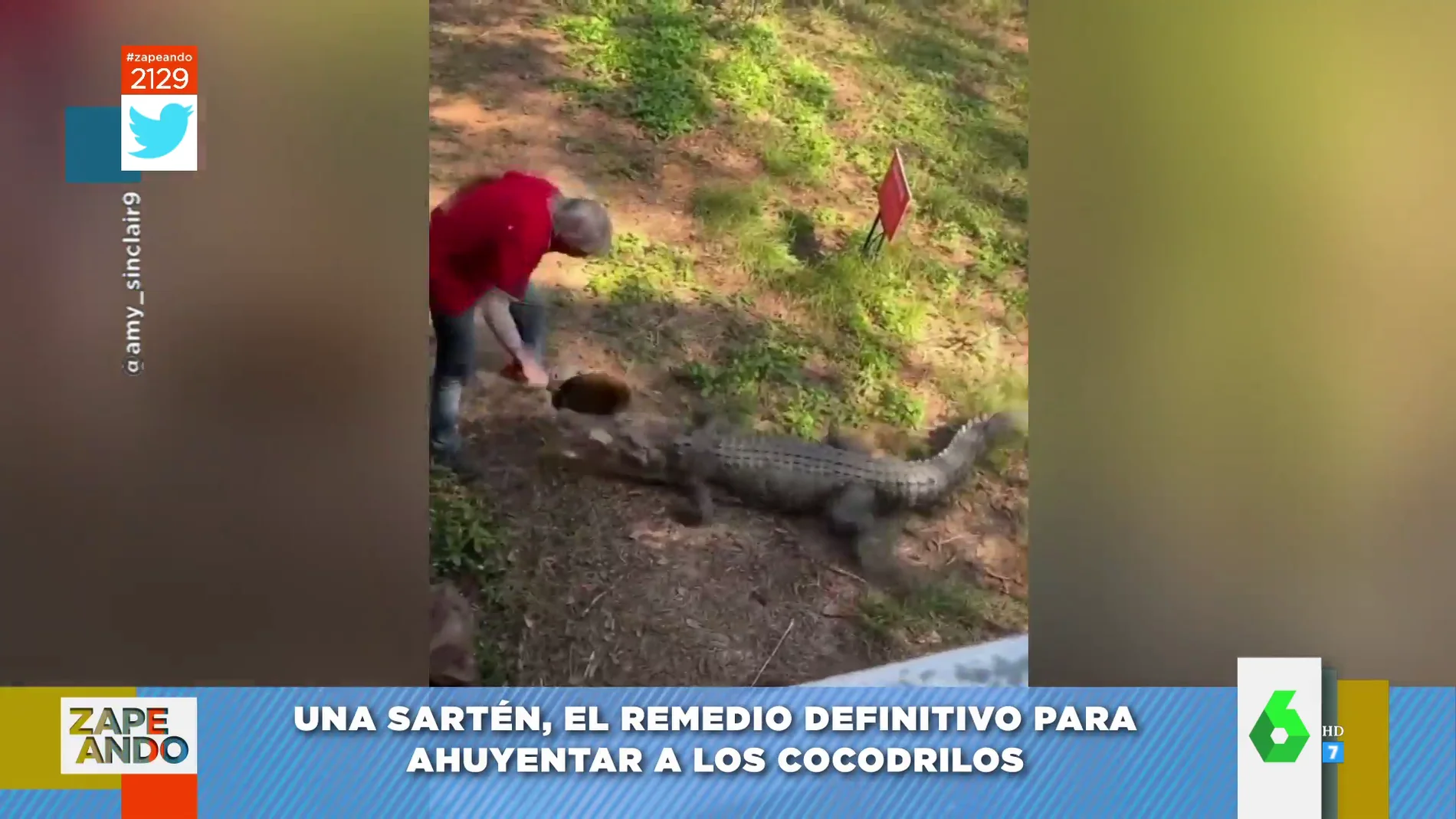 El sorprendente método de un hombre para ahuyentar a un cocodrilo:  