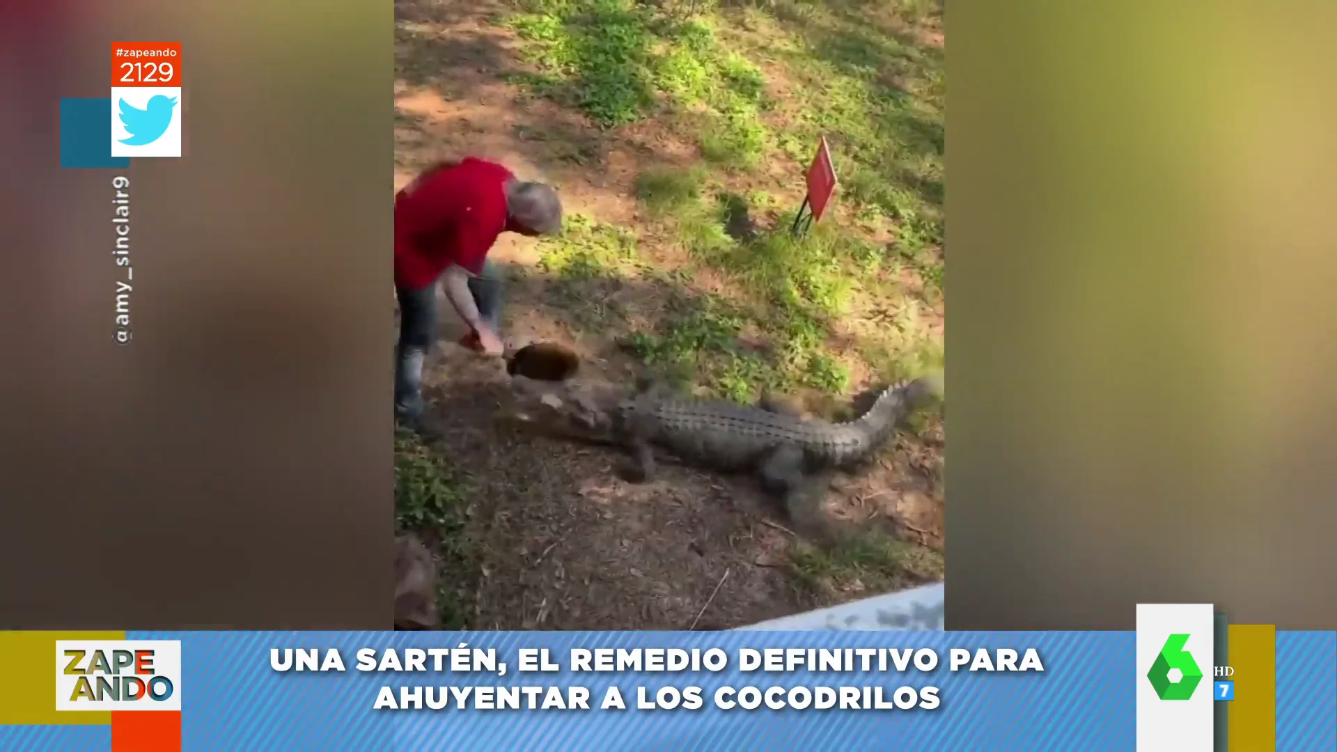 Así se defiende del ataque de un cocodrilo