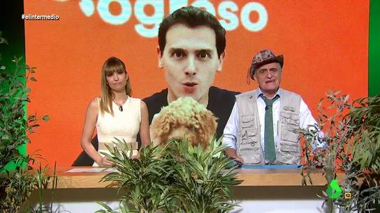 ciudadanos ciudadanos