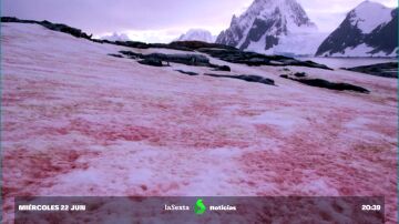 La misteriosa 'nieve de sangre' de los Alpes: no es lo que parece, pero son malas noticias para el planeta