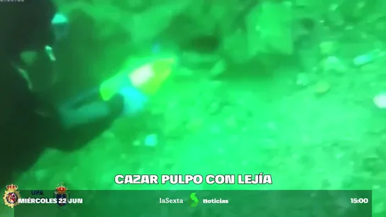 cazar pulpo lejia cazar pulpo lejia