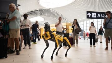 'Spot', el perro robot de EEUU que Ucrania usará para limpiar minas y munición rusa