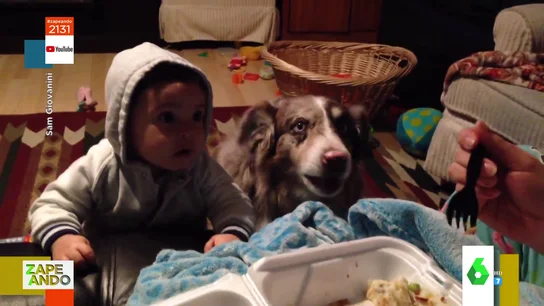 Vídeo viral de un perro y un bebé Vídeo viral de un perro y un bebé