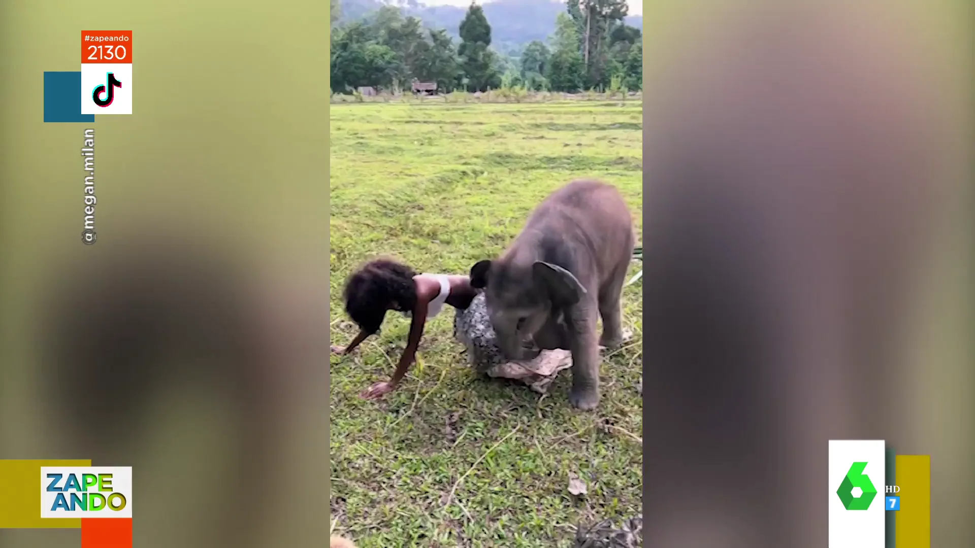 El vídeo viral de un elefante que quiere jugar con una modelo