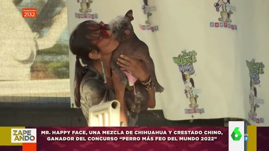 Perro más feo del mundo Perro más feo del mundo