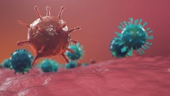 Un estudio descifra los orígenes de Ómicron, la variante más contagiosa del Covid Un estudio descifra los orígenes de Ómicron, la variante más contagiosa del Covid