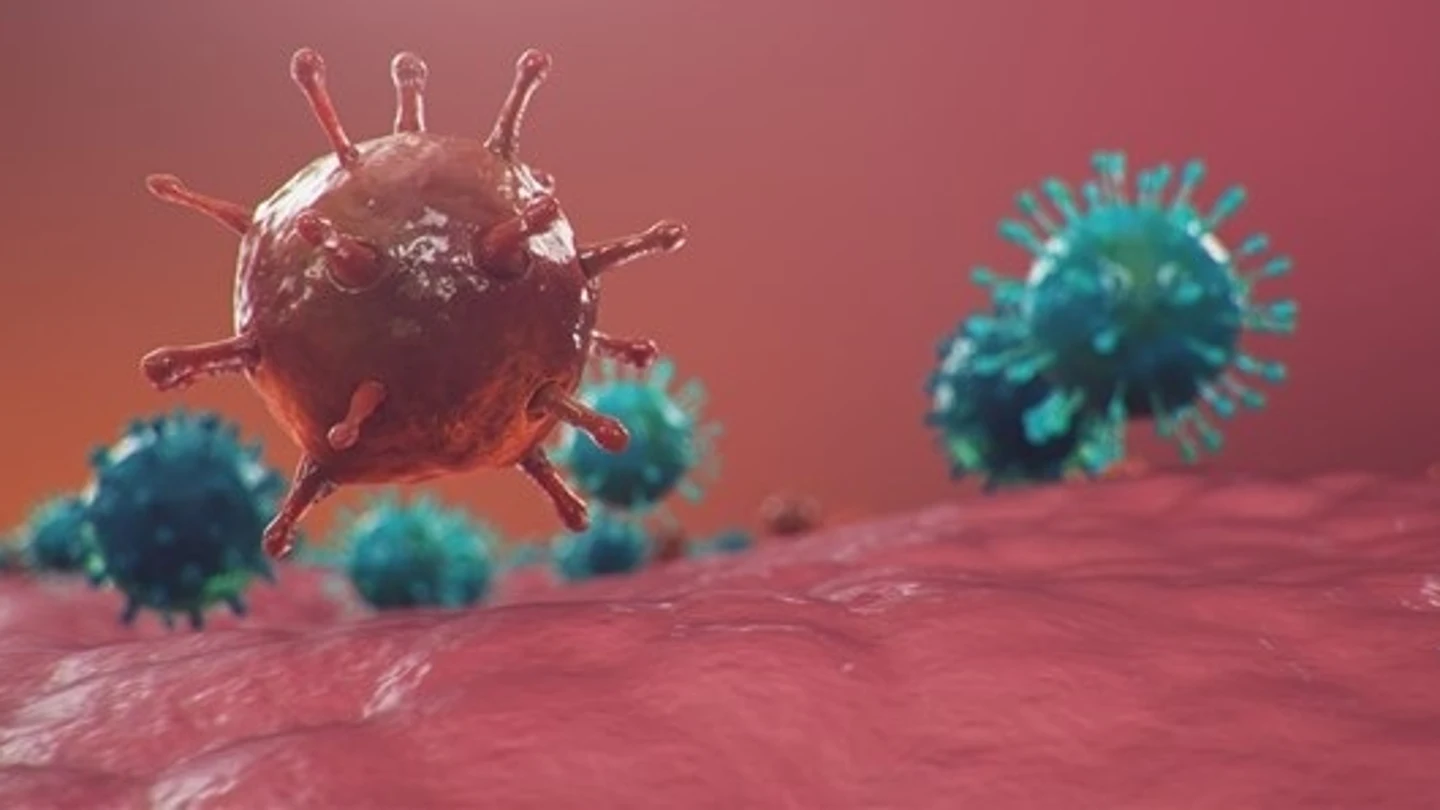 Un estudio descifra los orígenes de Ómicron, la variante más contagiosa del Covid Un estudio descifra los orígenes de Ómicron, la variante más contagiosa del Covid