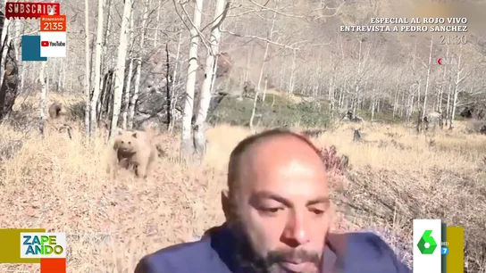 Ataque de un oso a un reportero Ataque de un oso a un reportero