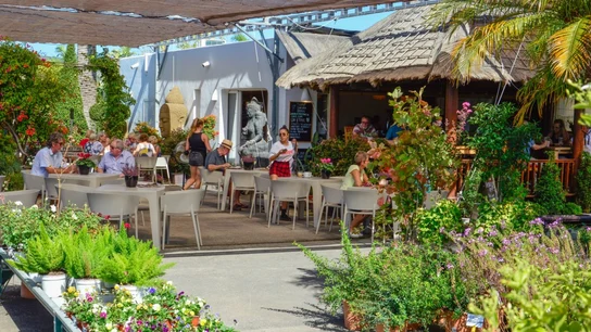 Bali Café Bali Café