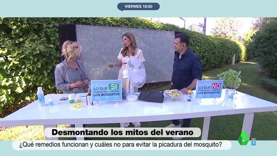 Más Vale Tarde Más Vale Tarde