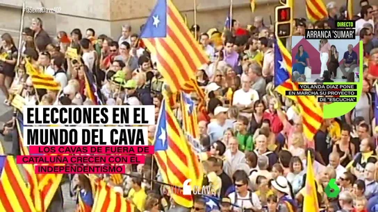 Revolución en el Consell Regulador del Cava: por primera vez tendrá representantes de fuera de Cataluña Revolución en el Consell Regulador del Cava: por primera vez tendrá representantes de fuera de Cataluña