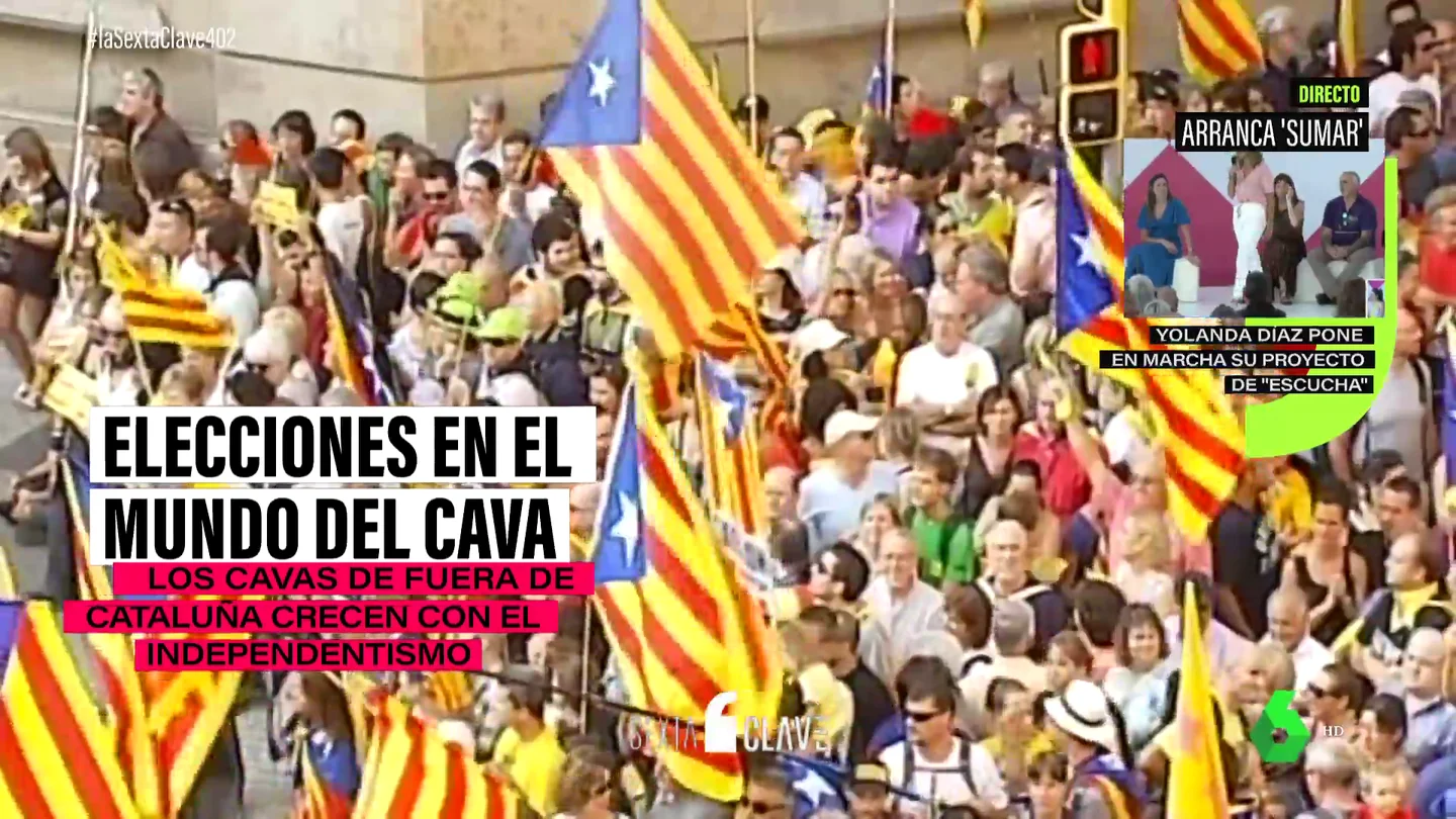 Revolución en el Consell Regulador del Cava: por primera vez tendrá representantes de fuera de Cataluña Revolución en el Consell Regulador del Cava: por primera vez tendrá representantes de fuera de Cataluña