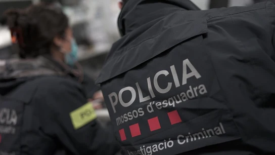 Detienen a un hombre en Amposta (Tarragona) acusado de apuñalar a su pareja Detienen a un hombre en Amposta (Tarragona) acusado de apuñalar a su pareja