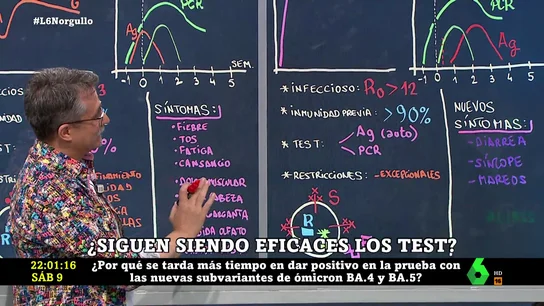 PIZARRA CORELL TEST DE ANTÍGENOS PIZARRA CORELL TEST DE ANTÍGENOS