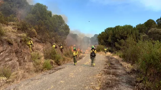 Incendio forestal en El Ronquillo Incendio forestal en El Ronquillo