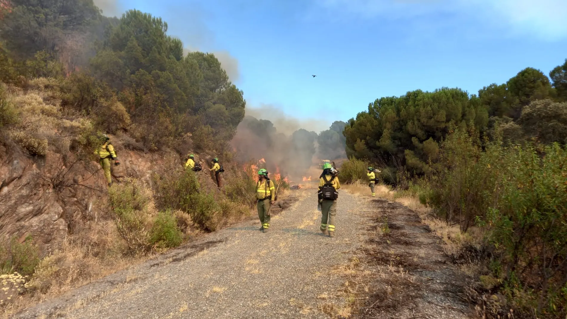 Incendio forestal en El Ronquillo 