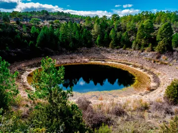 Laguna del Tejo, parque natural de las Lagunas del Hoyo Laguna del Tejo, parque natural de las Lagunas del Hoyo