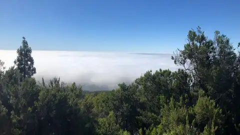 Mar de nubes. Parque Nacional del Teide Mar de nubes. Parque Nacional del Teide