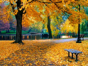 Boston Garden Public Boston Garden Public