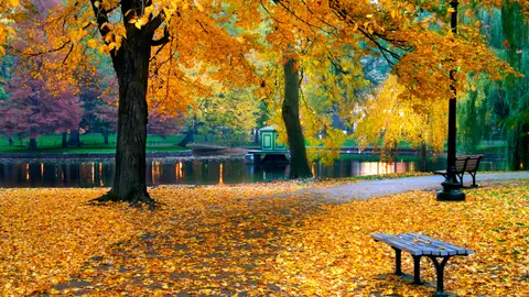 Boston Garden Public Boston Garden Public