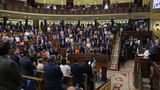 Minuto de silencio en recuerdo de Miguel Ángel Blanco en el Congreso de los Diputados Minuto de silencio en recuerdo de Miguel Ángel Blanco en el Congreso de los Diputados