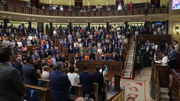 Minuto de silencio en recuerdo de Miguel Ángel Blanco en el Congreso de los Diputados