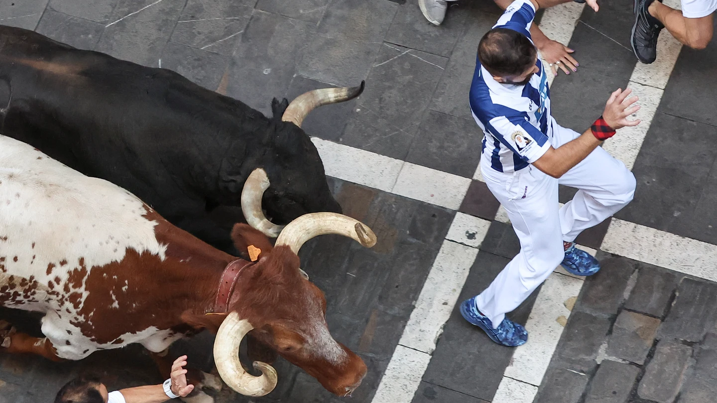 Los toros de la ganadería pacense de Jandilla a su paso por el la calle de la Estafeta durante el sexto encierro de los Sanfermines, este martes en Pamplona. Los toros de la ganadería pacense de Jandilla a su paso por el la calle de la Estafeta durante el sexto encierro de los Sanfermines, este martes en Pamplona.