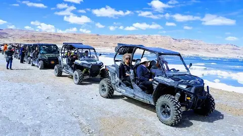 Wild Desert Tours Wild Desert Tours