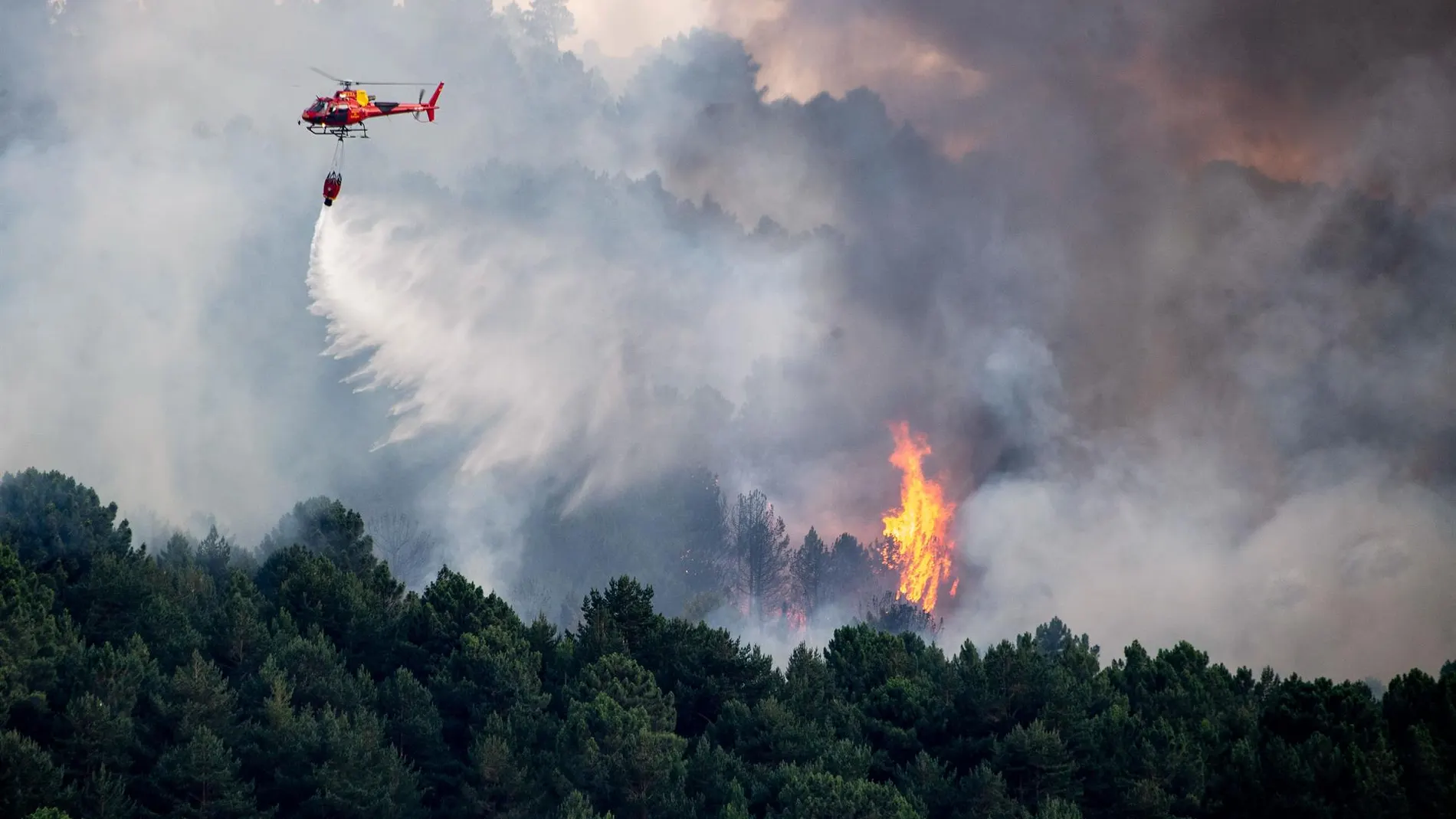 Labores de extinción de un incendio forestal en el cerro del castillo en Collado Mediano (Madrid). 