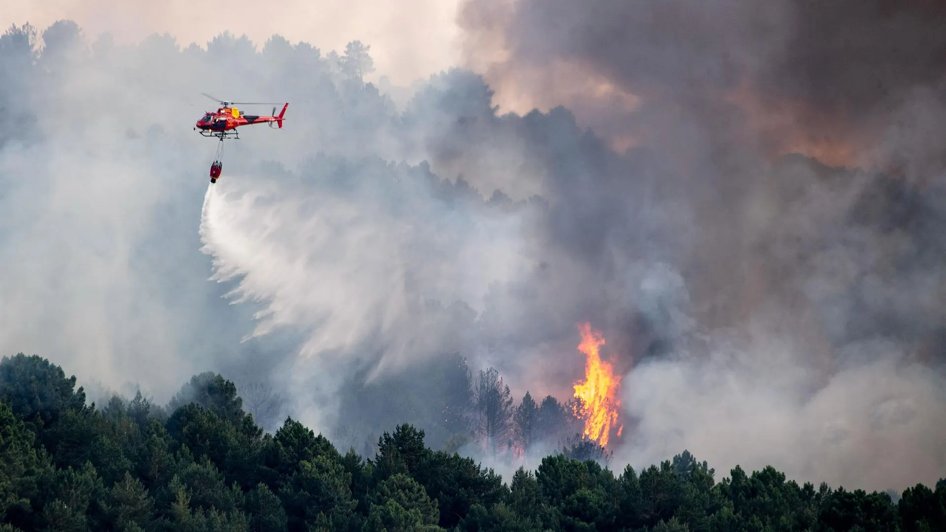 Labores de extinción de un incendio forestal en el cerro del castillo en Collado Mediano (Madrid). 
