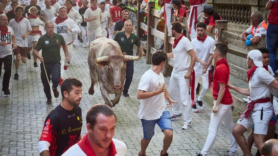 Séptimo encierro de San Fermín 2022: carrera rápida y sin heridos por asta de toro Sanfermines 2022