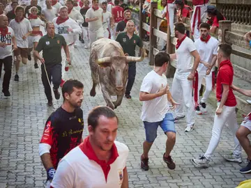 Séptimo encierro de San Fermín 2022: carrera rápida y sin heridos por asta de toro