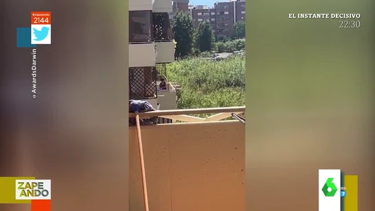 El surrealista vídeo en el que una mujer intenta apagar un incendio en el monte tirando un cubo de agua desde su terraza El surrealista vídeo en el que una mujer intenta apagar un incendio en el monte tirando un cubo de agua desde su terraza