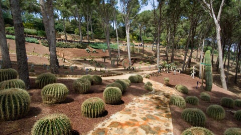 Calella e Palafrugell