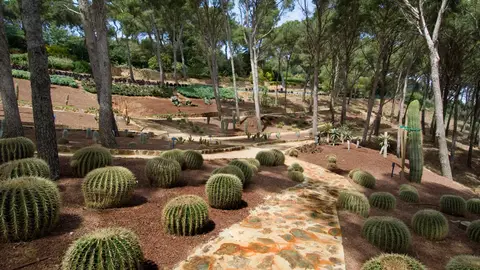 Calella e Palafrugell Calella e Palafrugell