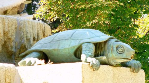 Fuente de los Galápagos. Madrid