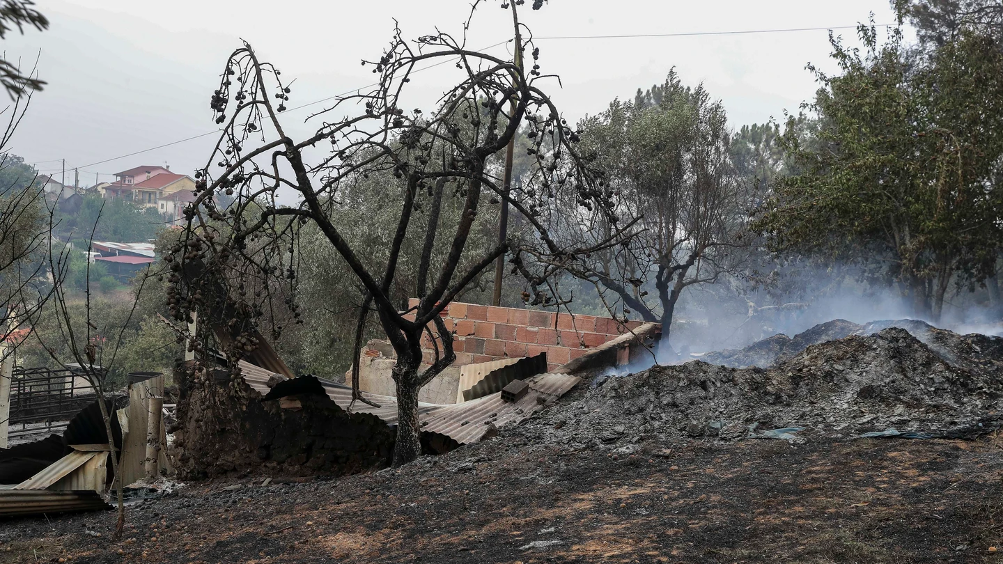 Incendios en Portugal Encuentran el cadáver carbonizado de una mujer en los graves incendios que asolan Portugal